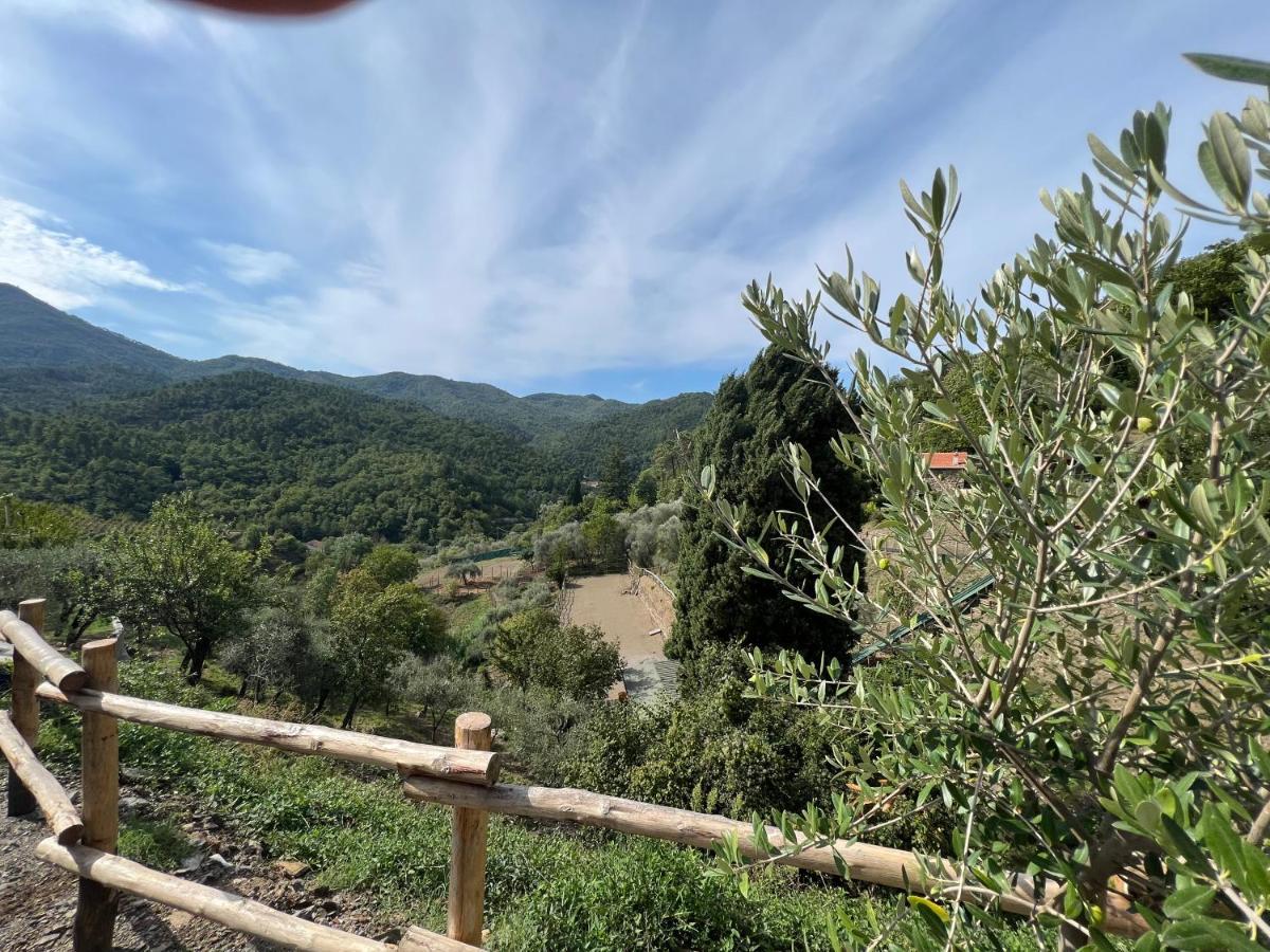 Agriturismo Torsivi Castiglione Chiavarese Exteriör bild