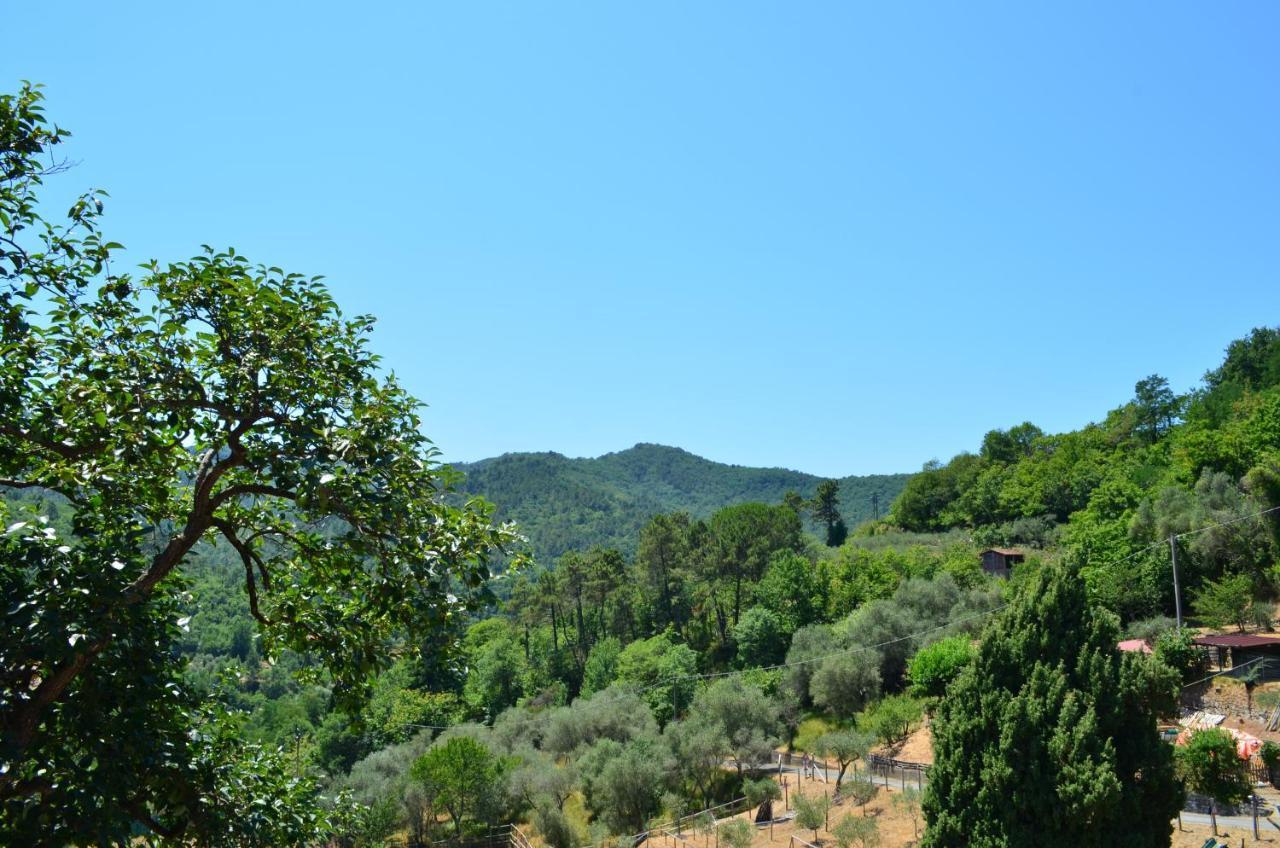 Agriturismo Torsivi Castiglione Chiavarese Exteriör bild