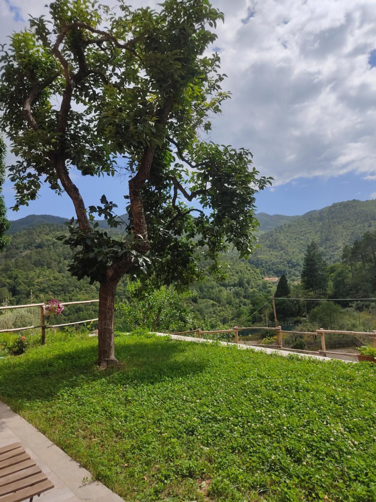Agriturismo Torsivi Castiglione Chiavarese Exteriör bild